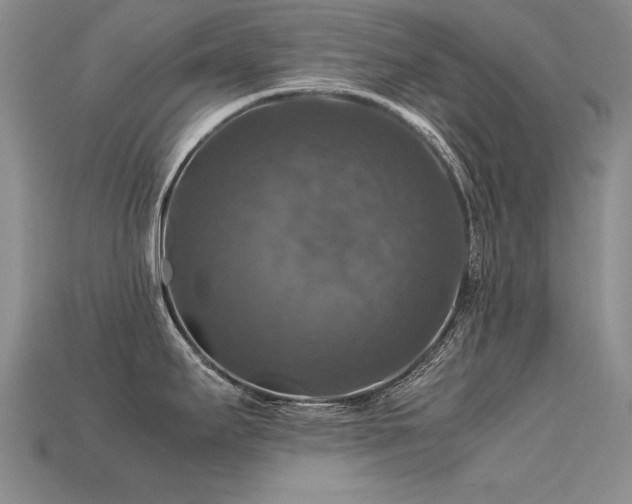 X0000113601295200909181344