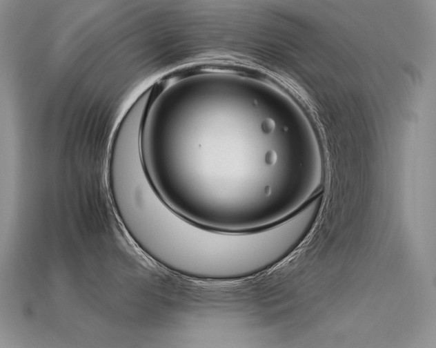 X0000113601296200909181344