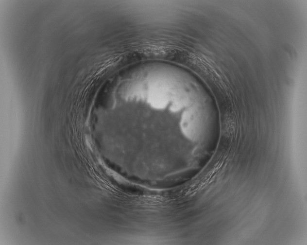 X0000113601297200909181343