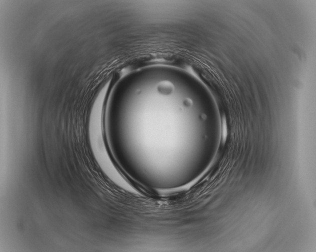 X0000113601298200909181343