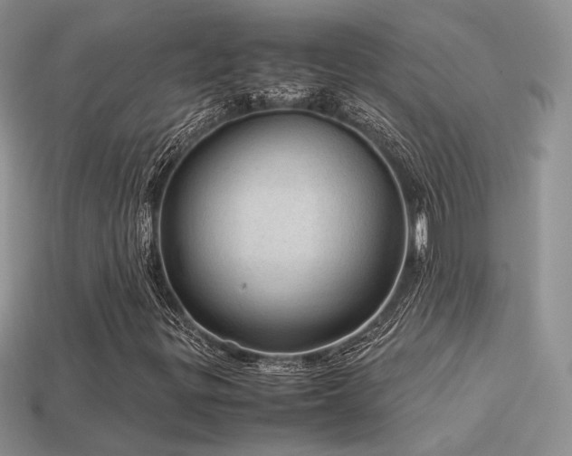 X0000113601299200909181343