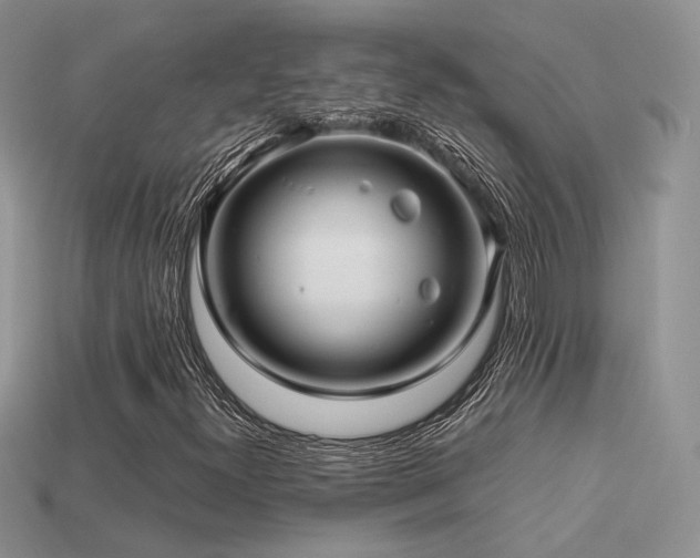 X0000113601300200909181343