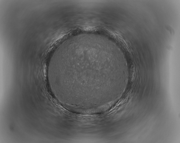 X0000113601301200909181343