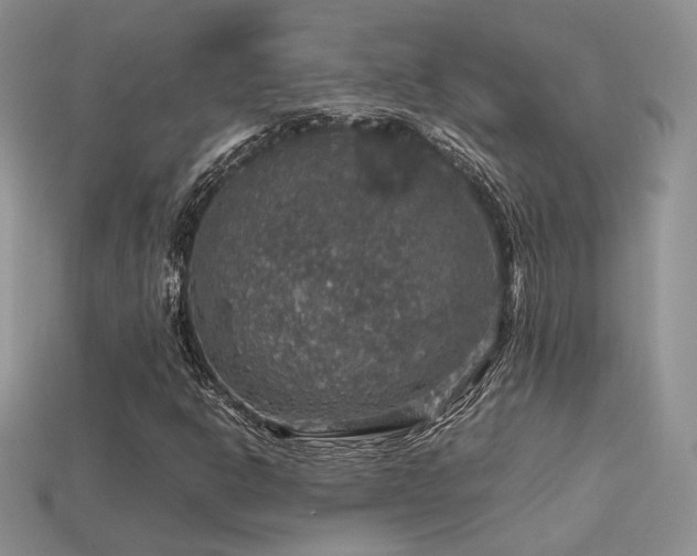 X0000113601302200909181344