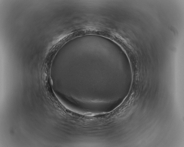 X0000113601303200909181344