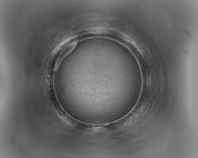 X0000113601304200909181344