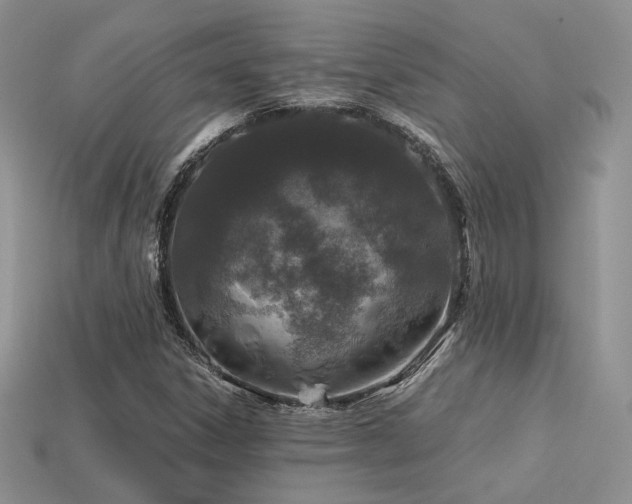 X0000113601306200909181344