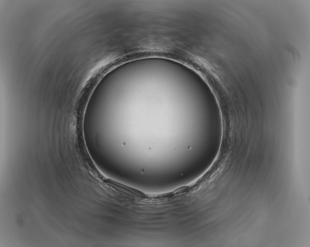 X0000113601307200909181344