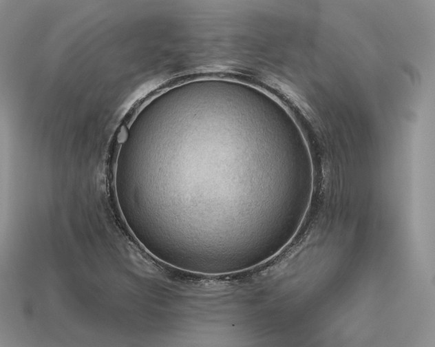 X0000113601308200909181344