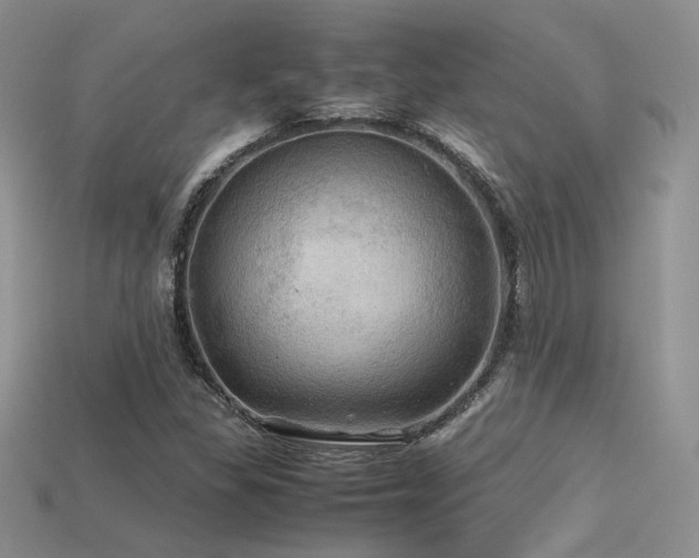 X0000113601309200909181344