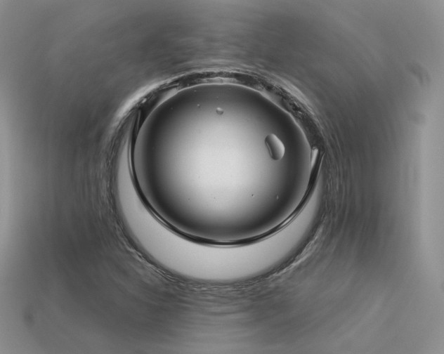 X0000113601310200909181344