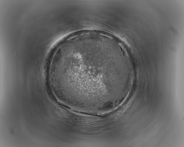 X0000113601311200909181344