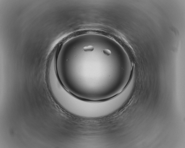 X0000113601312200909181344