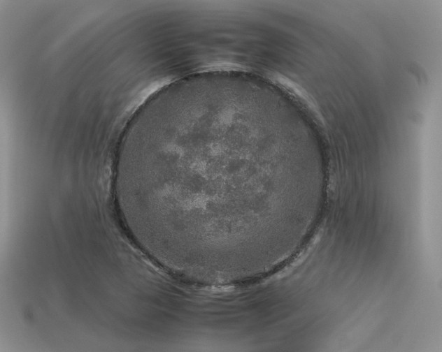 X0000113601313200909181344