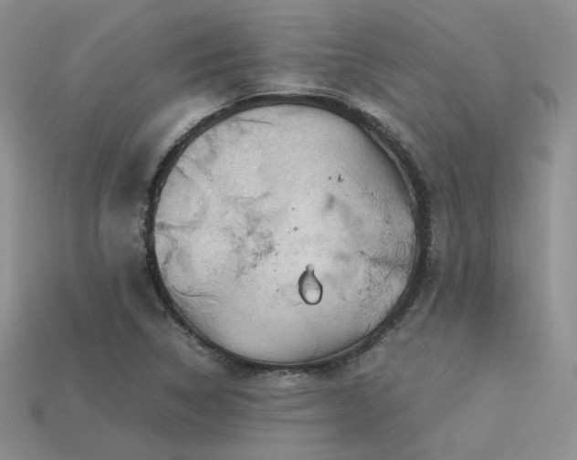 X0000113601314200909181344