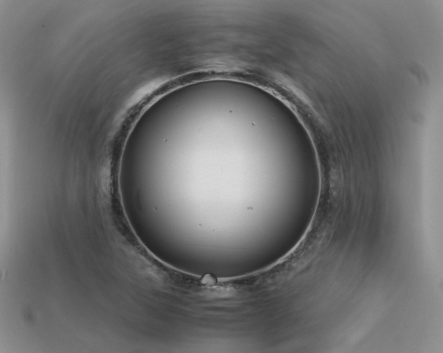 X0000113601315200909181344