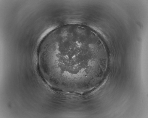 X0000113601317200909181344