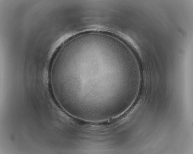 X0000113601318200909181344