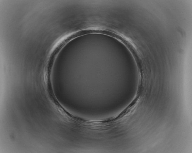 X0000113601319200909181344