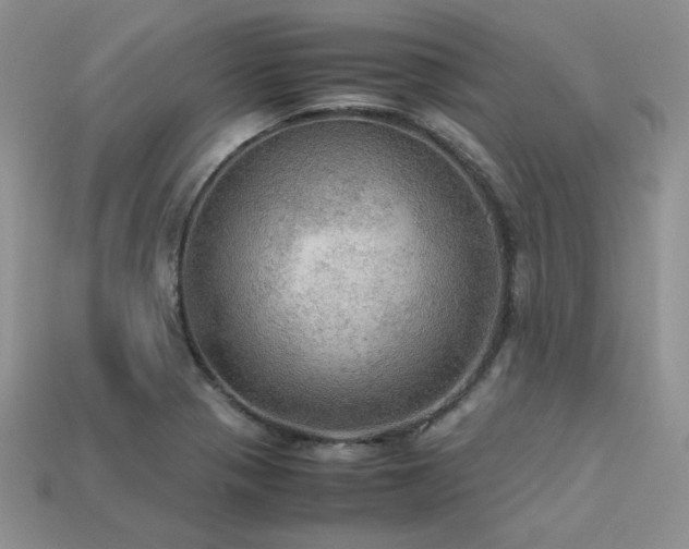 X0000113601321200909181344