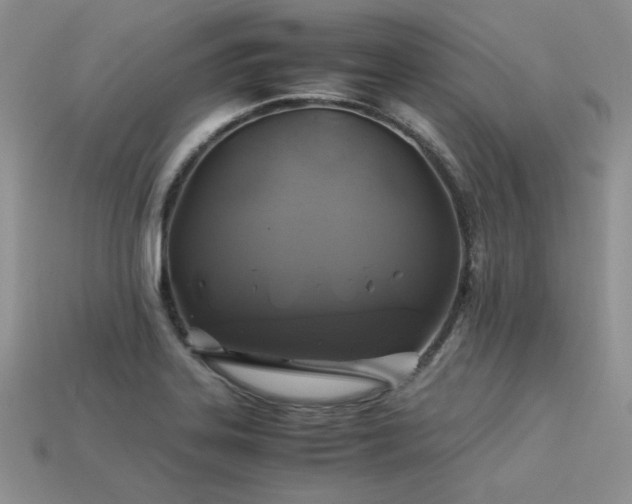 X0000113601323200909181344