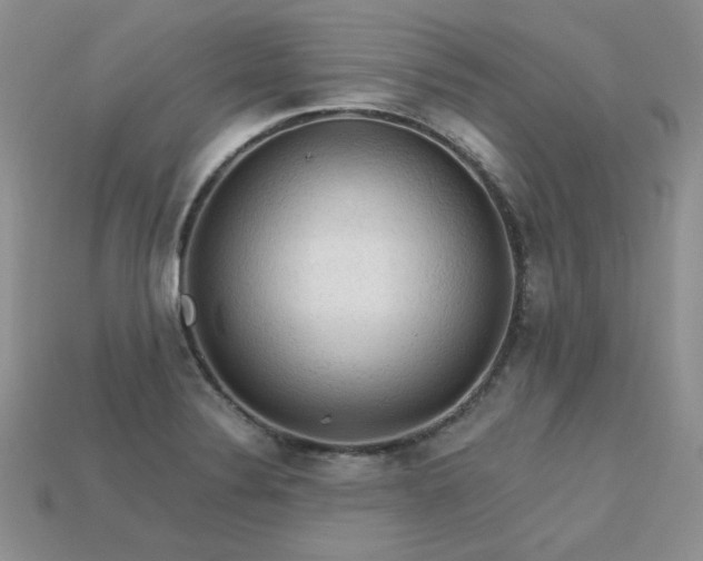 X0000113601324200909181344