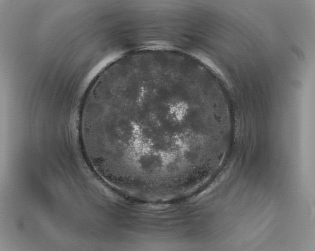 X0000113601325200909181344