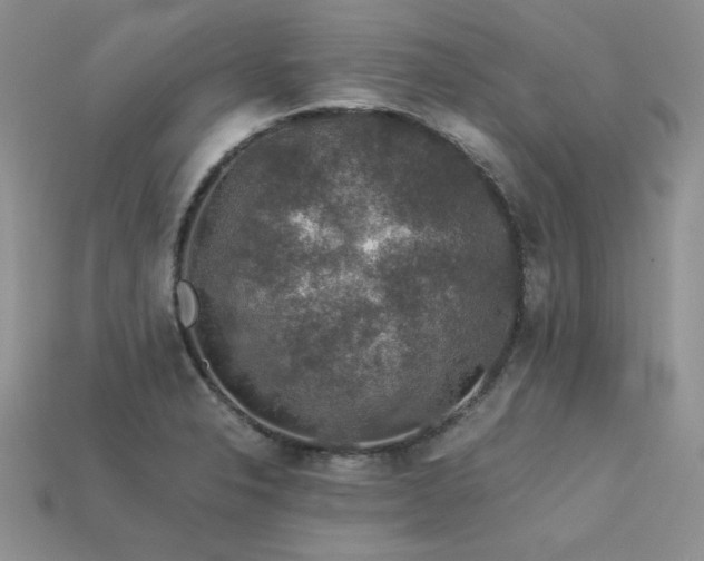 X0000113601326200909181344