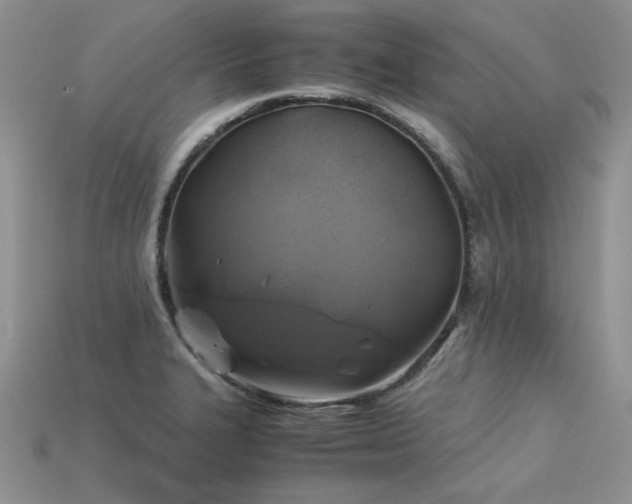 X0000113601327200909181344