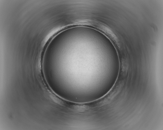 X0000113601328200909181344