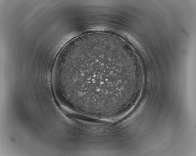 X0000113601329200909181344