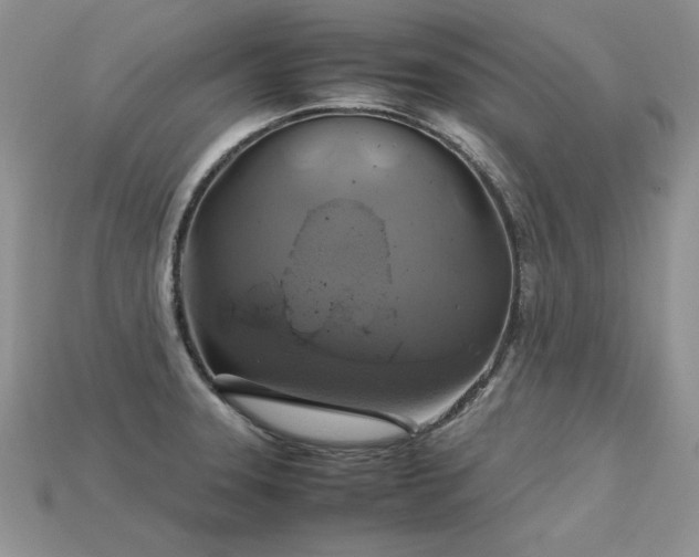 X0000113601331200909181344