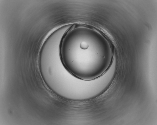 X0000113601332200909181344