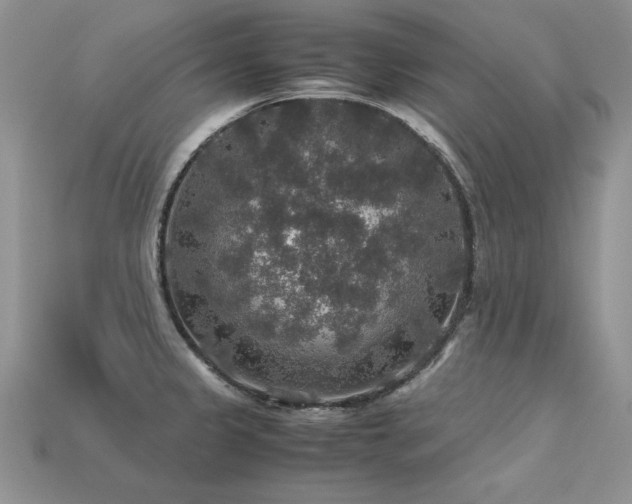 X0000113601333200909181344