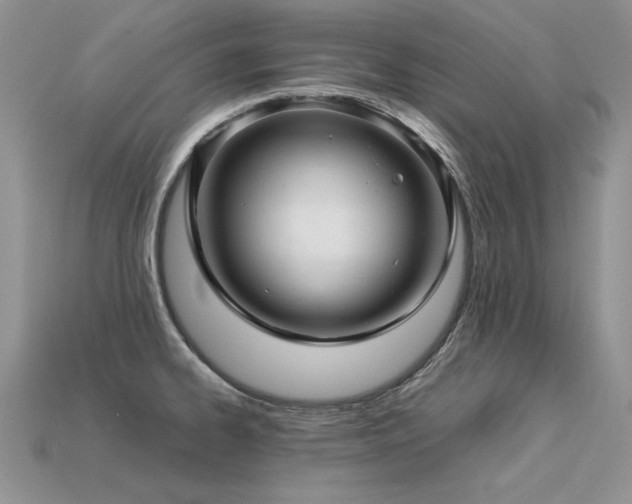 X0000113601334200909181344