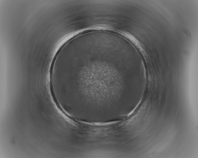 X0000113601335200909181344