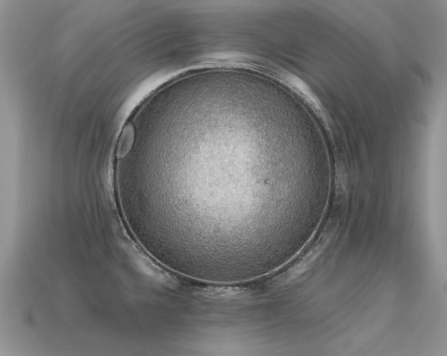 X0000113601336200909181344