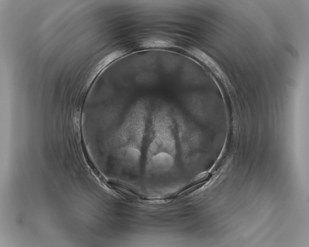 X0000113601337200909181344