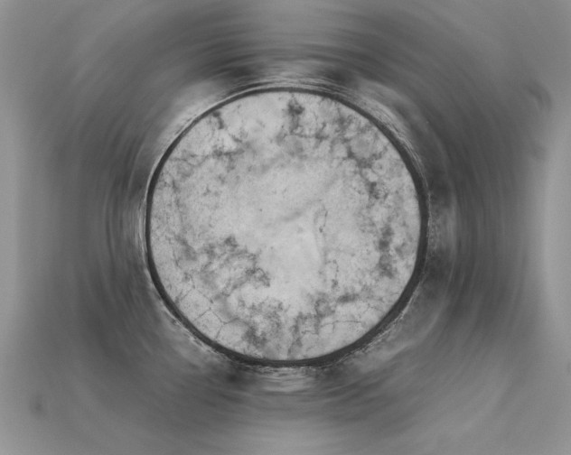 X0000113601338200909181344