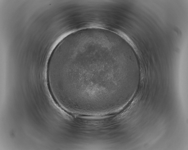 X0000113601339200909181344