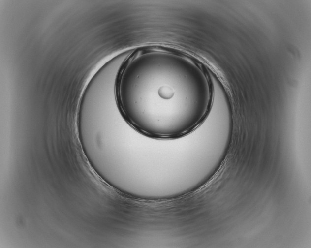 X0000113601340200909181344