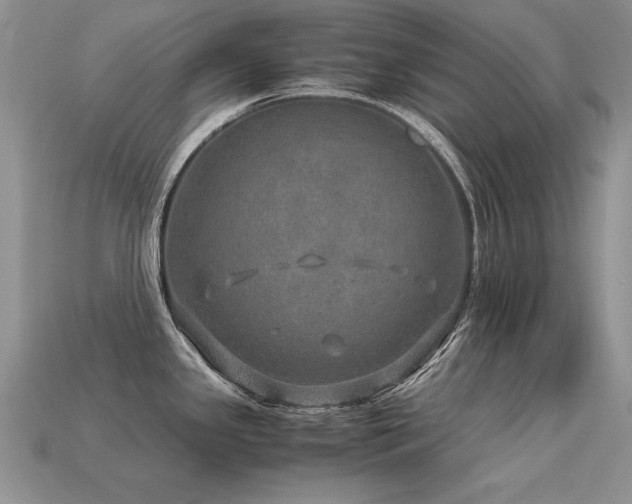 X0000113601341200909181344