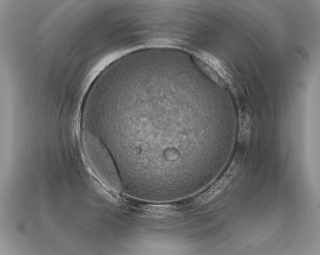 X0000113601342200909181344