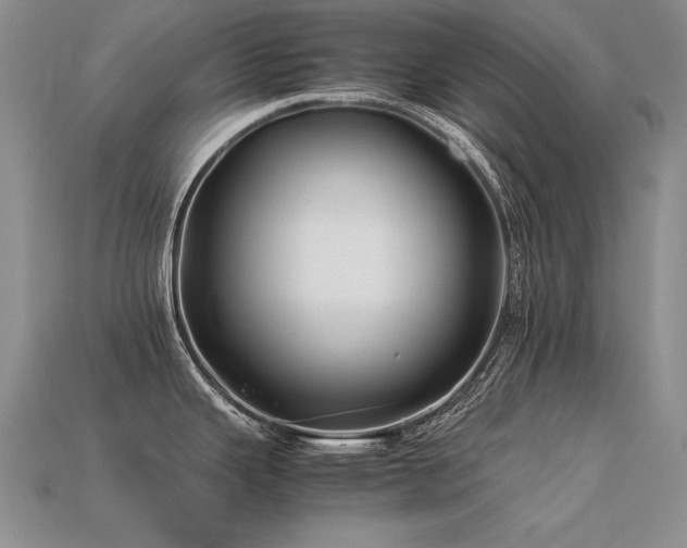 X0000113601343200909181344