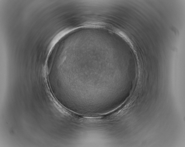 X0000113601344200909181344