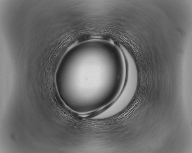 X0000113601345200909181343