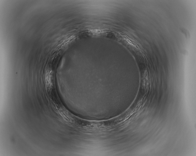 X0000113601346200909181343