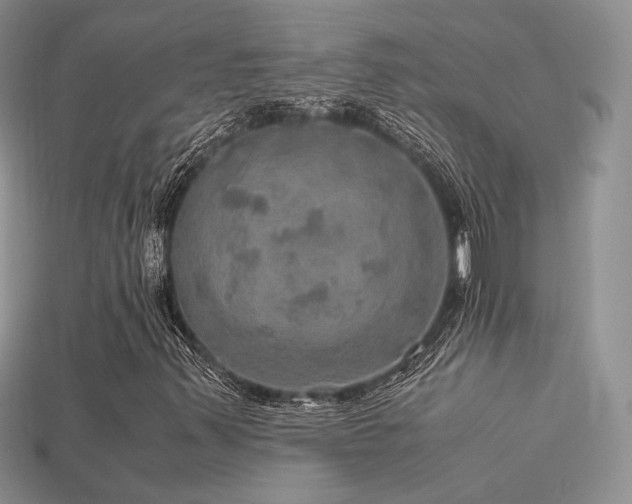 X0000113601347200909181343