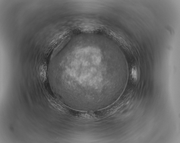 X0000113601348200909181343