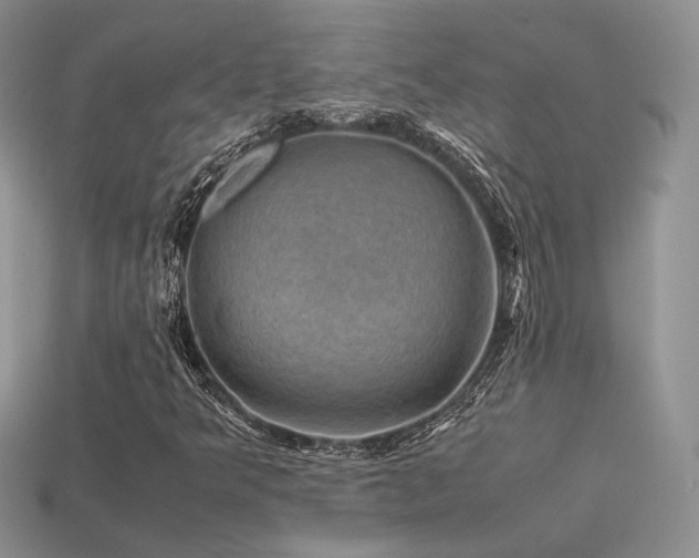 X0000113601349200909181343